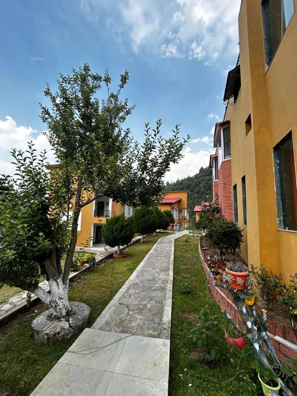 Mist N Meadows Resort Rājgarh Esterno foto